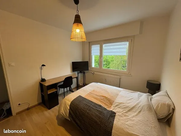 Colocation strasbourg