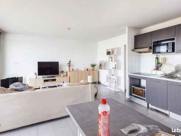 Appartement lumineux 3 pieces Blagnac quartier Grand Noble Pinot Brassens