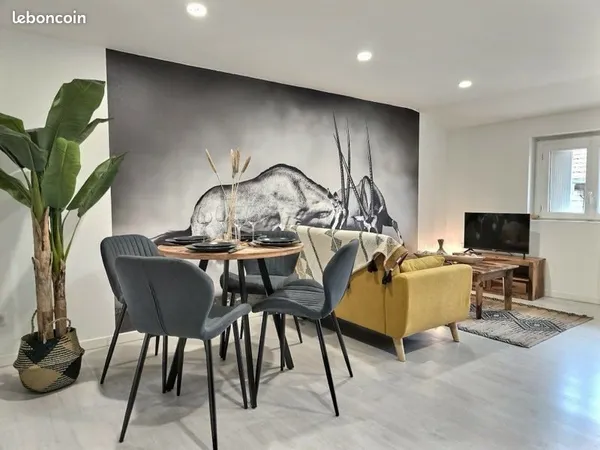 Appartement meublé à Albi