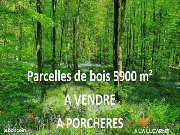 Terrain 5 899 m² Porcheres