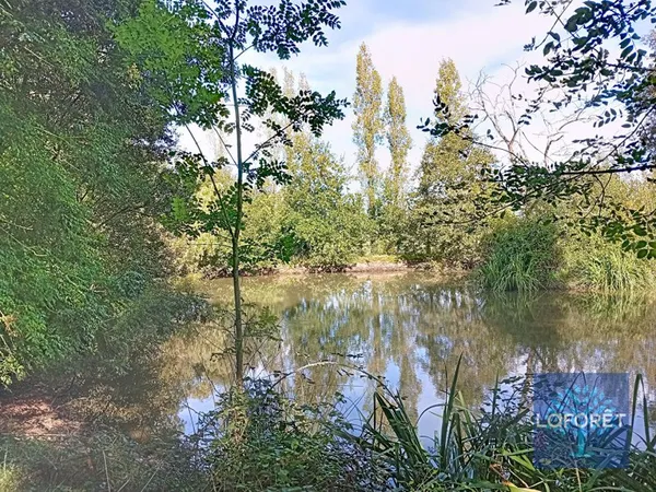 Terrain 4048 m²