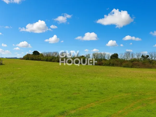Terrain vendu viabilisé