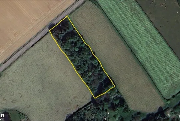 Parcelle boisée 5400m2