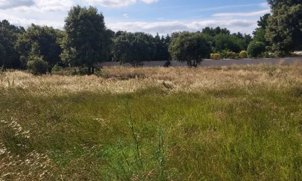 Terrain 2318 m²