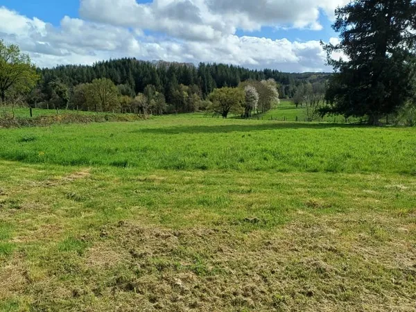 Grange avec parcelle constructible