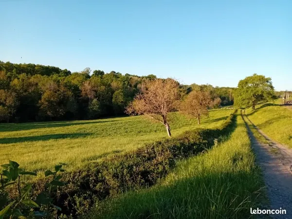 Terrains boisé et Prairie