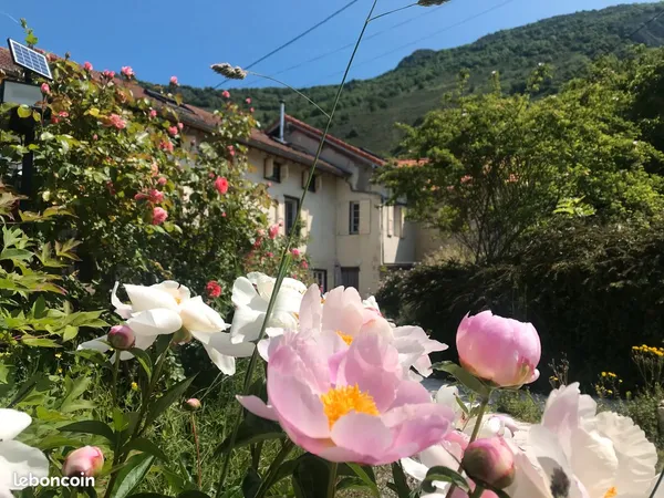 La maison d'Elisa&François un habitat partagé pour vieillir ensemble autrement