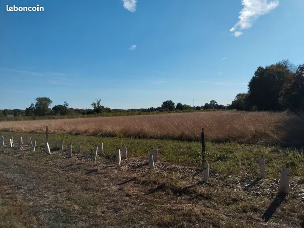 Terrain agricole de 4 hectares