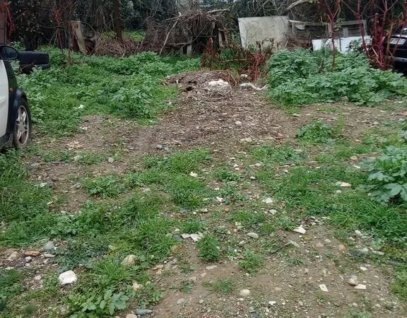 Terrain 850 m²