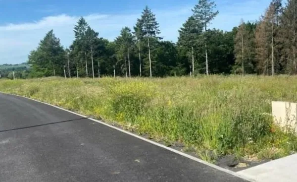 Terrain 650 m²