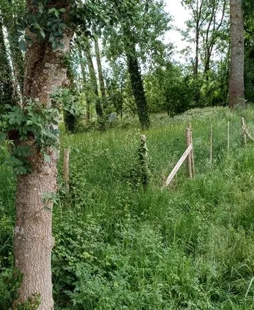 Terrain de loisir