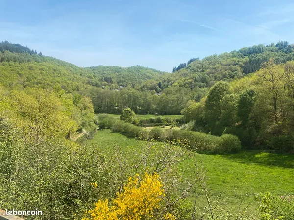 Cabane en forêt