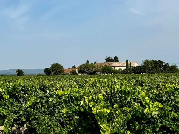 Mas Provençal à rénover sur 11 ha Drôme Provençale