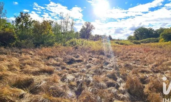 Terrain 10392 m²
