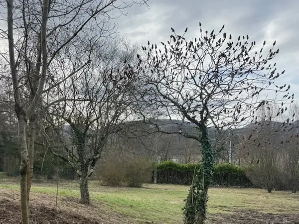 "Terrain à bâtir de 1200 m² à Aouste-sur-Sye - Prix total 160 000 €"