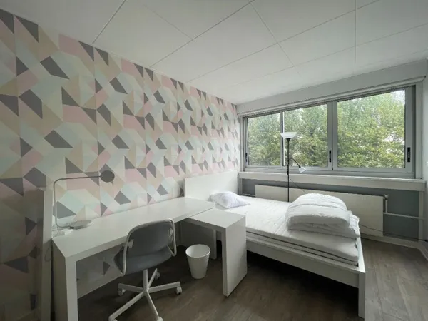 Chambre Vandoeuvre Les Nancy 1 pièce(s) 12 m2