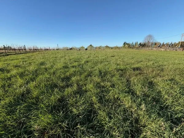 Terrain 561 m²