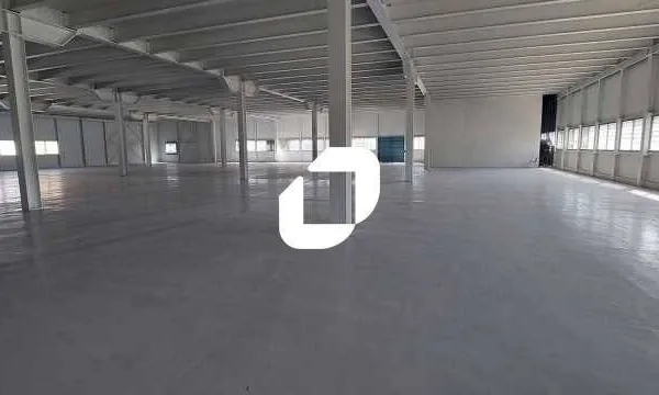 Entrepôt 4066 m²