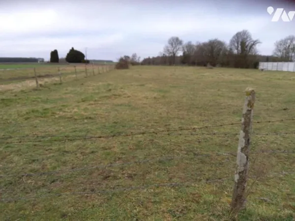 Terrain 980 m²