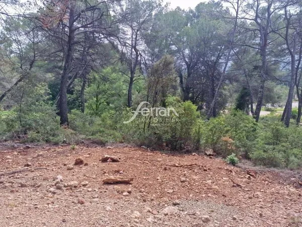 Terrain 413 m²