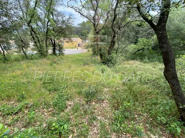 Vente terrain