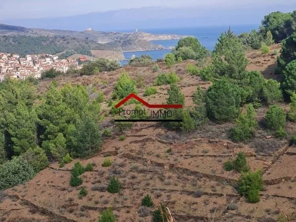 Terrain 8975 m²