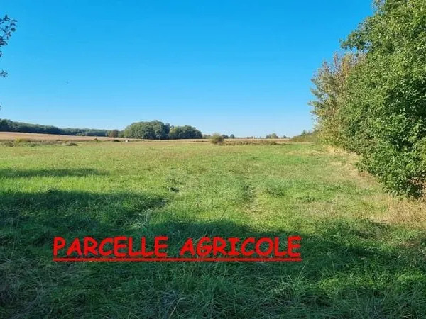 Terrain agricole