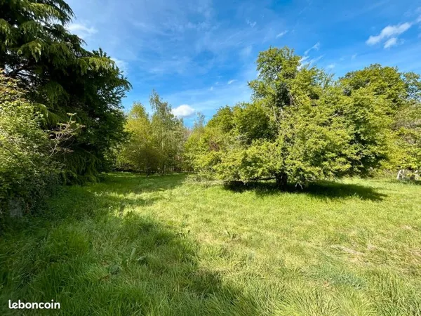 Superbe terrain constructible situé à Reugny (37380), au calme absolu, en lisière de forêt 🌿