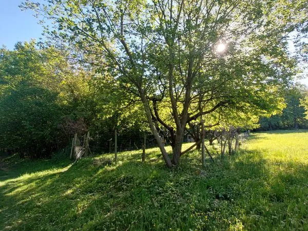 Terrain de loisirs - Verger