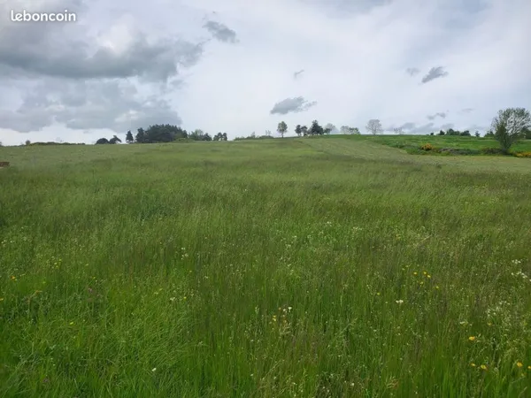 Terrain 8000 m² Coucouron