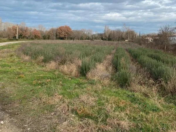Terrain constructible 400 m² - Puygiron