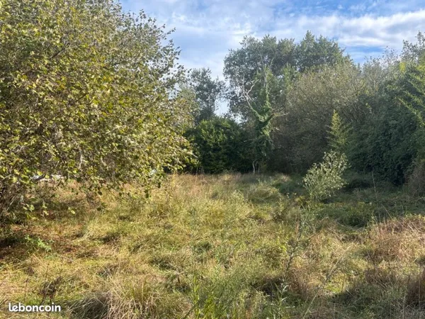 Location terrain pour chevaux