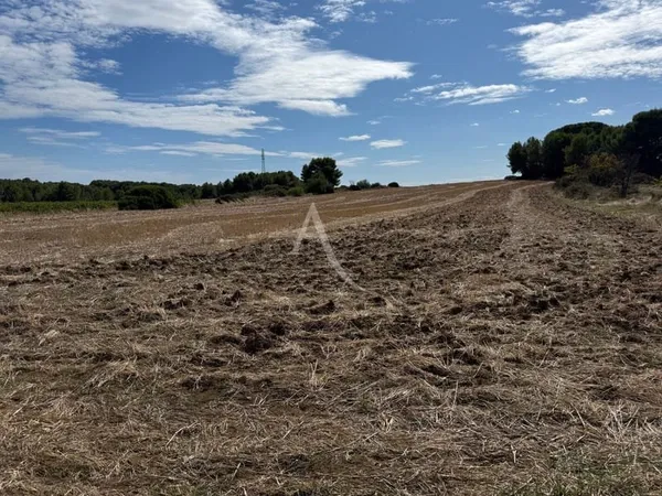 Terrain 22780 m²