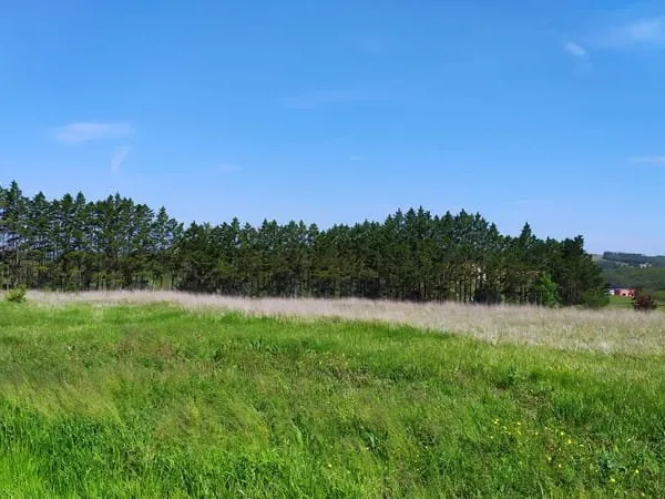 Terrain à Vendre