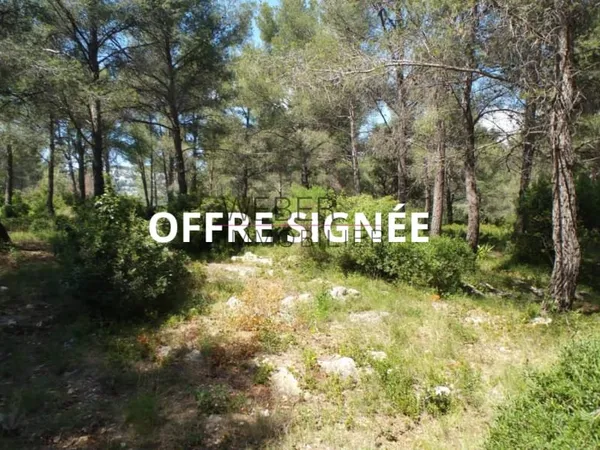 Terrain 38000 m²