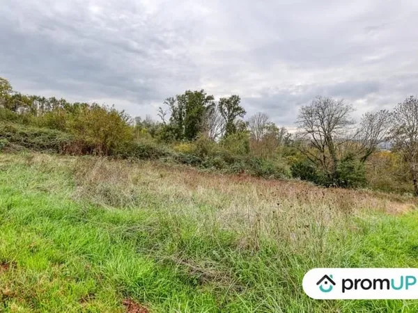 Terrain 17000 m²