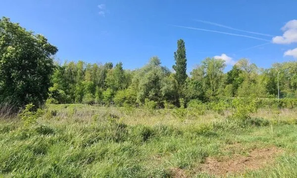 Terrain constructible 1156 m²