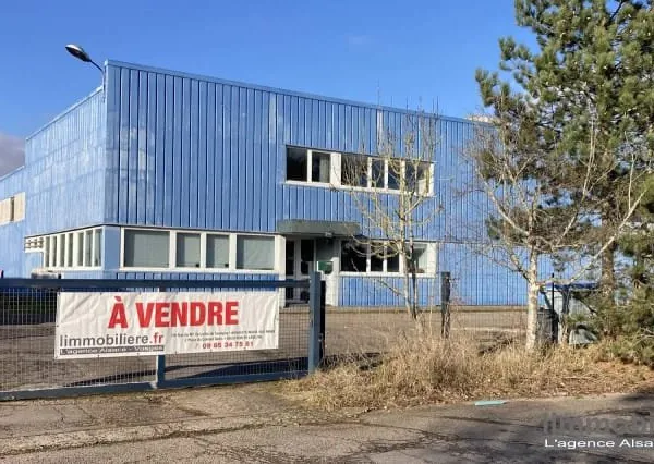 Local 600 m²