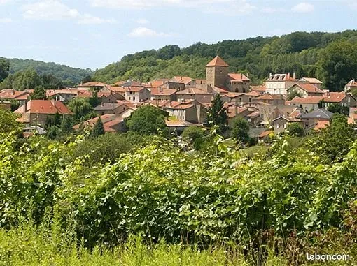 Cherche femme pour colocation intergenerationnelle / habitat partagé - maison avec grand jardin