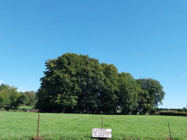 Terrain 1215 m² harcy
