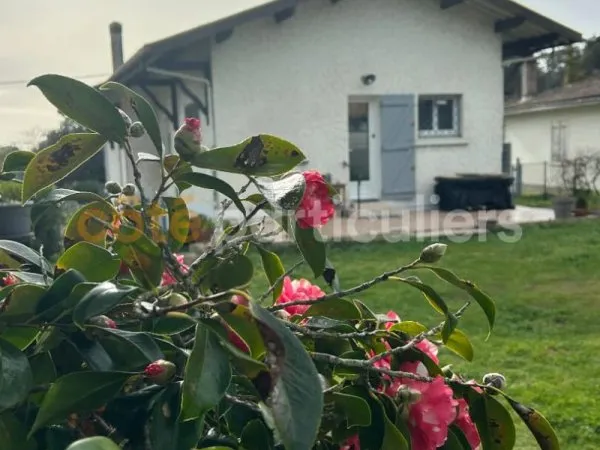 Maison 7 pièces 144 m²