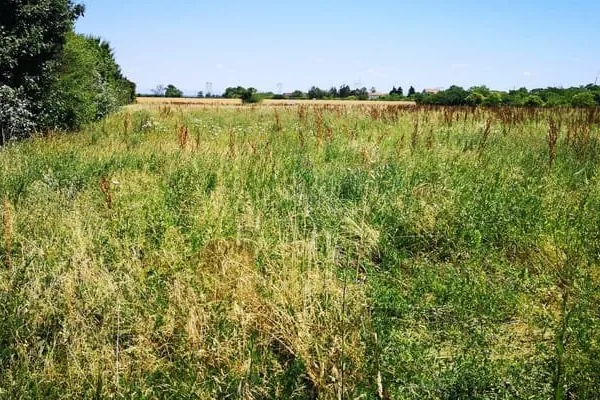 Terrain Genas 477 m2
