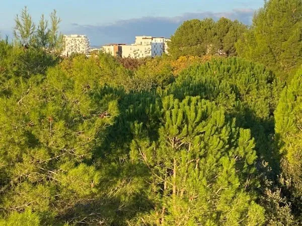 Vente appartement Montpellier Jardin de la Lironde