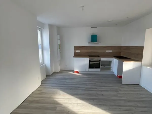 Logement T1 avec grande terrasse 20m² hypercentre ROANNE
