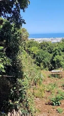 Terrain 400 m²