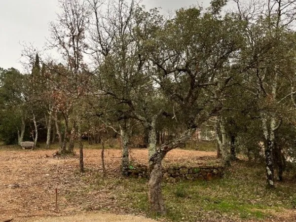 Terrain 600 m²
