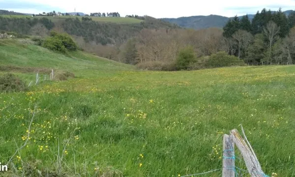 Terrain constructible 3600 m2