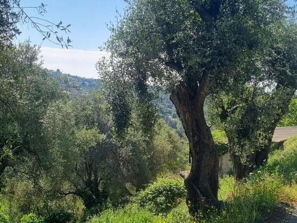 Terrain 1161 m²