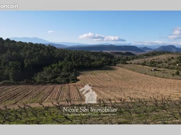 Terrain agricole 41 295 m² Tautavel