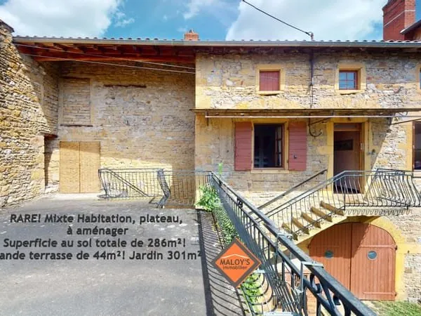 RARE! Mixte habitation pierres dorées, plateaux à aménager surface sol 286m²! Terrain 479m², terrass